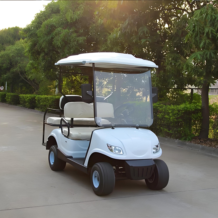 Two Seater Golf Cart T Series